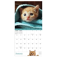 2026 Kittens Mini Calendar