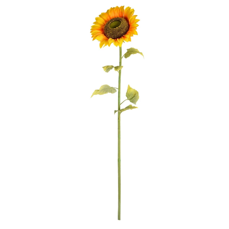 Yellow Sunflower Stem