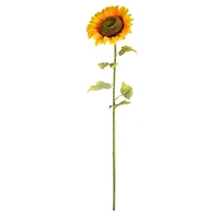 Yellow Sunflower Stem