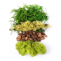 SuperMoss® Preserved Mixed Moss