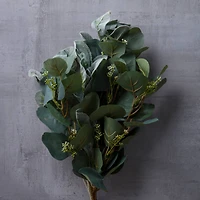 Silver Dollar & Lamb's Ear Bush by Ashland®