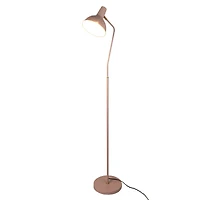 Hello Honey® 65" Pink Round Metal Floor Lamp