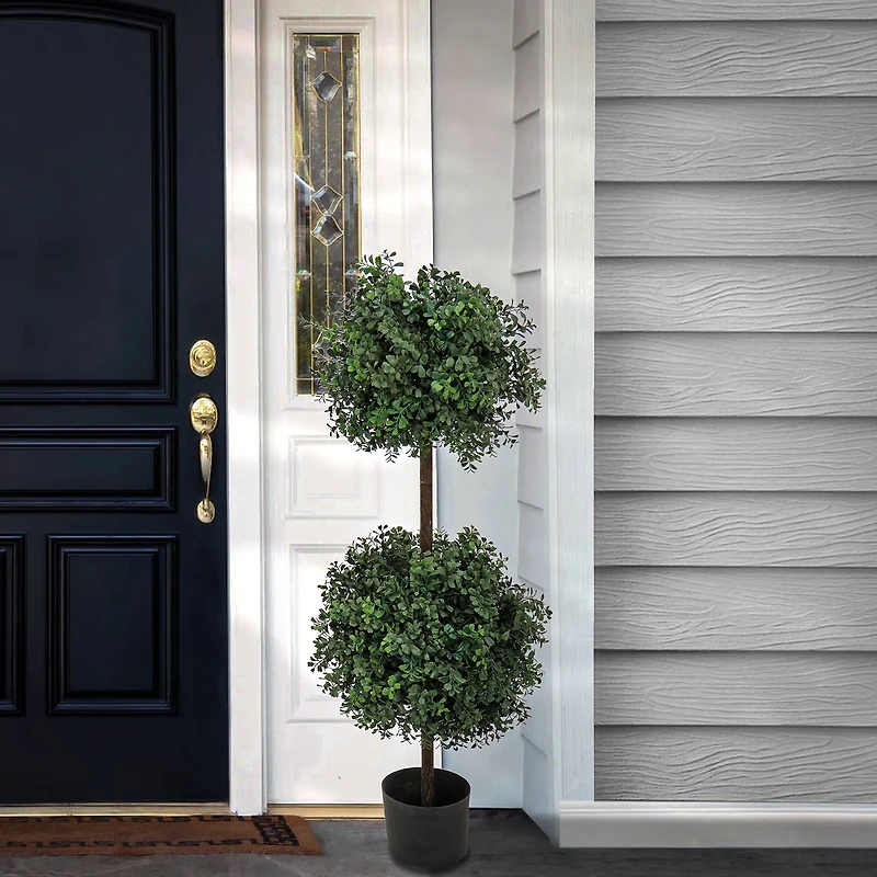 46" Boxwood Double Ball Topiary in Nursery Pot