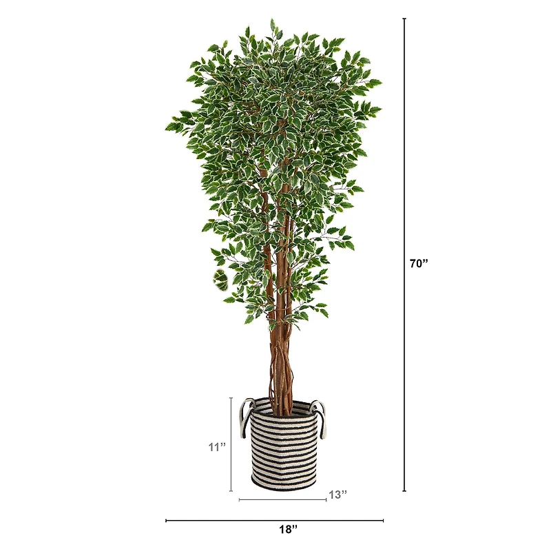 6ft. Variegated Ficus Tree in Handmade Black & White Natural Jute & Cotton Planter