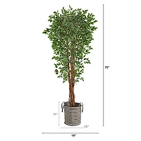 6ft. Variegated Ficus Tree in Handmade Black & White Natural Jute & Cotton Planter