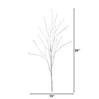 2 Pack 2.5ft. Pre-Lit White Birch Artificial Christmas Branches, Warm White Micro LED Lights