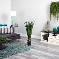 4ft. Potted Agave Plant