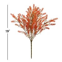 19" Berry Bush by Ashland