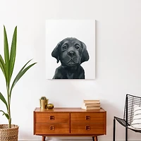 Black Lab Puppy 20" x 24" Canvas Wall Art