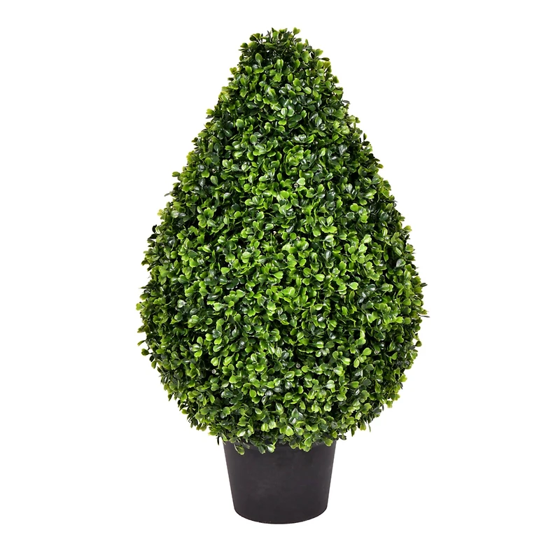 2ft. Potted Boxwood Teardrop Shaped Bush