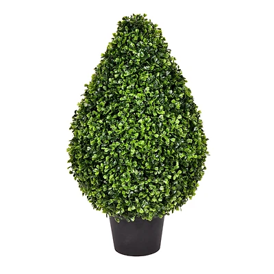 2ft. Potted Boxwood Teardrop Shaped Bush