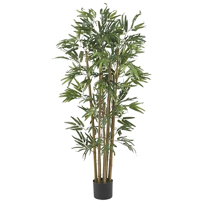 4ft. Potted Bambusa Bamboo Tree
