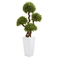 4.5ft. Four Ball Boxwood Topiary Tree in Tall White Planter