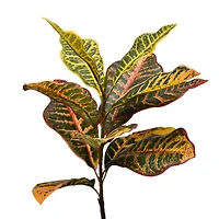 7ft. Potted Green & Orange Croton Tree