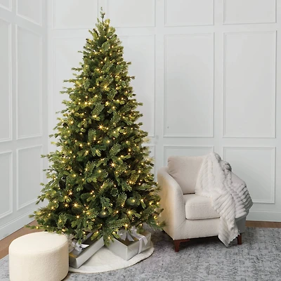 7.5ft. Pre-Lit Hunter Spruce Artificial Christmas Tree, Color Changing LED Lights by Ashland®