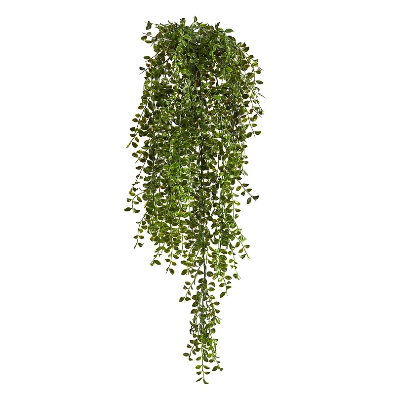 3ft. Potted Honey Locust Bush Plant, 2ct.