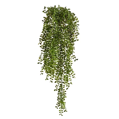 3ft. Potted Honey Locust Bush Plant, 2ct.