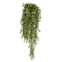 3ft. Potted Honey Locust Bush Plant, 2ct.