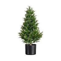 2ft. Potted UV Resistant Rosemary Cone Topiary Tree