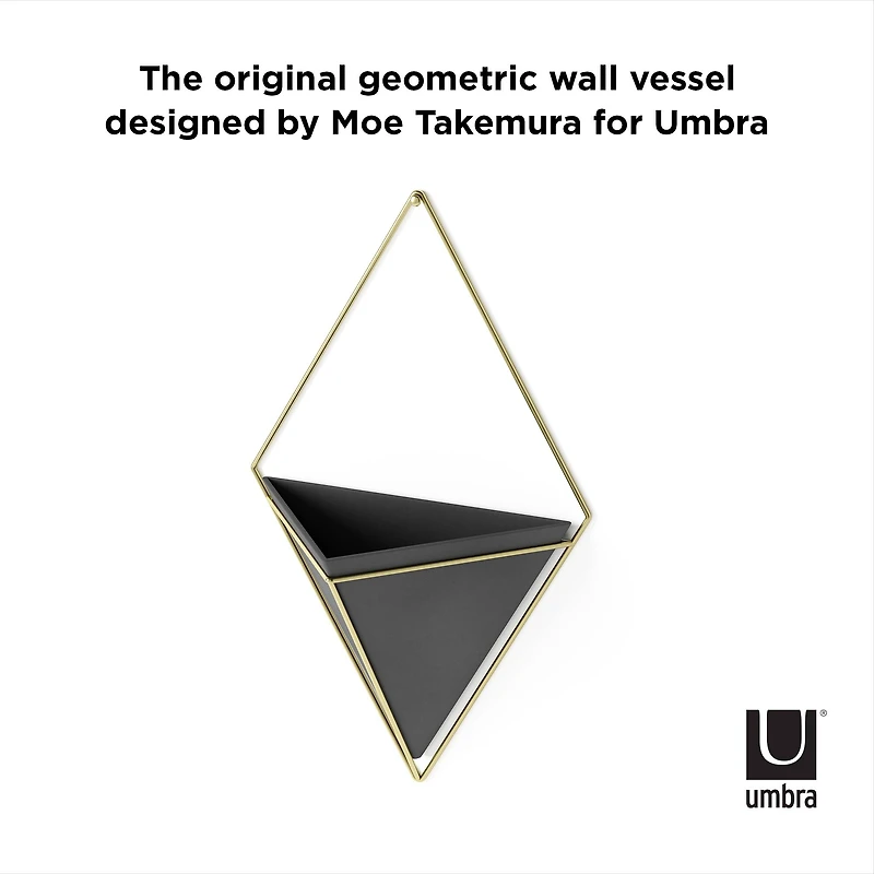 Umbra Trigg Wall Accent