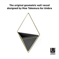 Umbra Trigg Wall Accent
