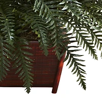 2.5ft. River Fern in Wood Planter