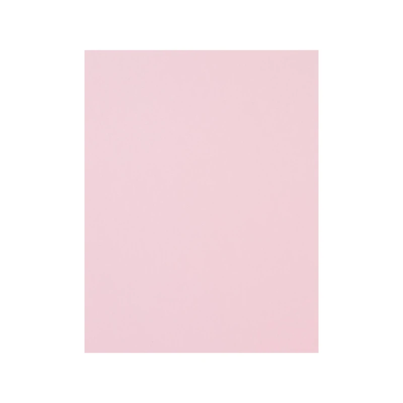 12 Packs: 50 ct. (600 total) Flamingo 8.5" x 11" Cardstock Paper by Recollections™