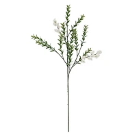 30" Snowy Berry & Eucalyptus Stem by Ashland®