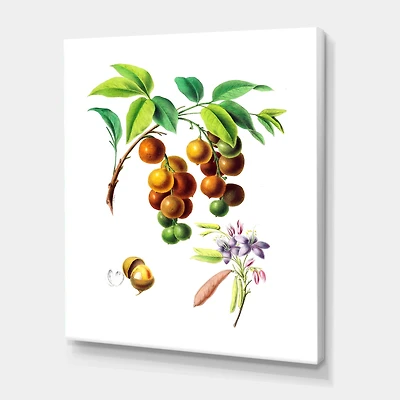 Designart - Vintage Fruits III