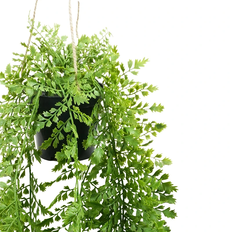 27" Hanging Potted Fern Plant by Ashland®