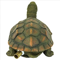 Design Toscano 9.5" Sprinkle the Turtle Piped Spitter Statue
