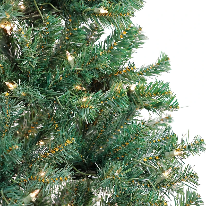 6ft. Pre-Lit Acacia Artificial Christmas Tree, Clear Lights
