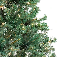 6ft. Pre-Lit Acacia Artificial Christmas Tree, Clear Lights
