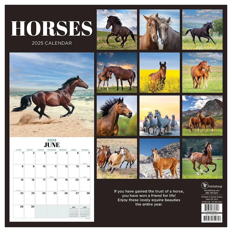 TF Publishing 2025 Horses Wall Calendar