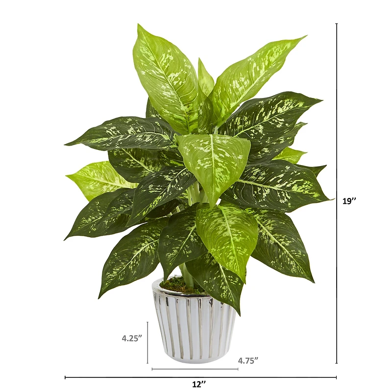 19" Dumb Cane in White Vase Set