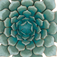 Turquoise Iron Succulent Traditional Wall Décor