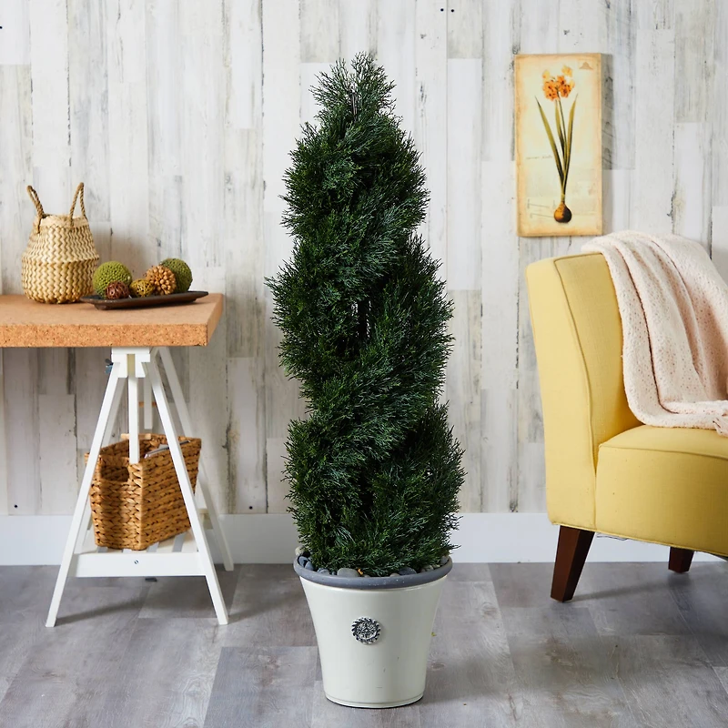 4.5ft. Double Pond Cypress Spiral Topiary Tree in Planter