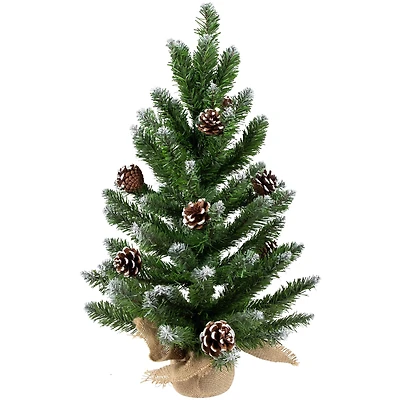 24" Unlit Frosted Norway Pine with Pinecones Medium Artificial Christmas Tree