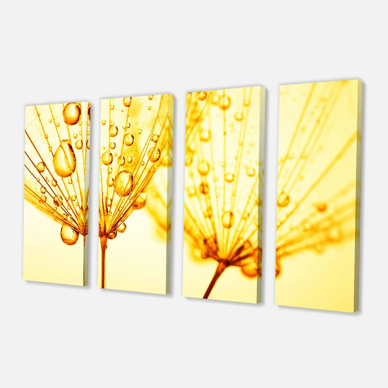 Designart - Dandelion Seeds with Water Drops