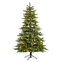 7ft. Pre-Lit Montreal Spruce Artificial Christmas Tree, Warm White LED Lights