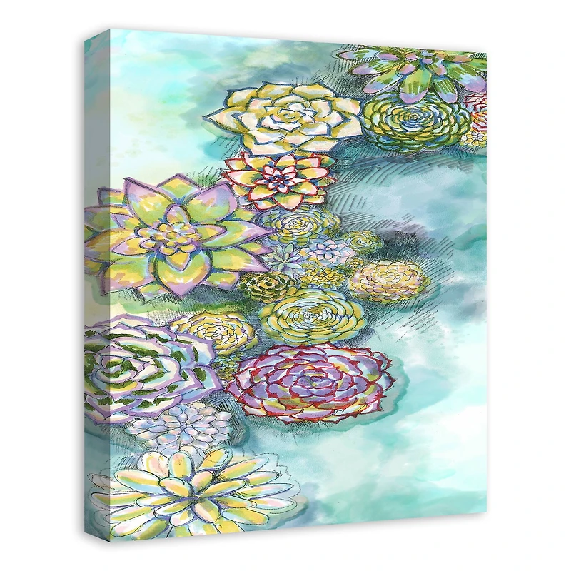 Array Of Succulents 16" x 20" Canvas Wall Art