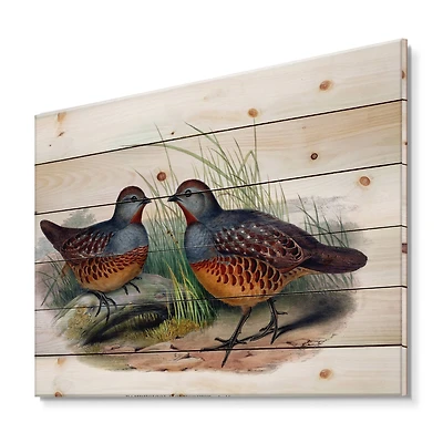 Designart - Vintage Birds In The Wild VII