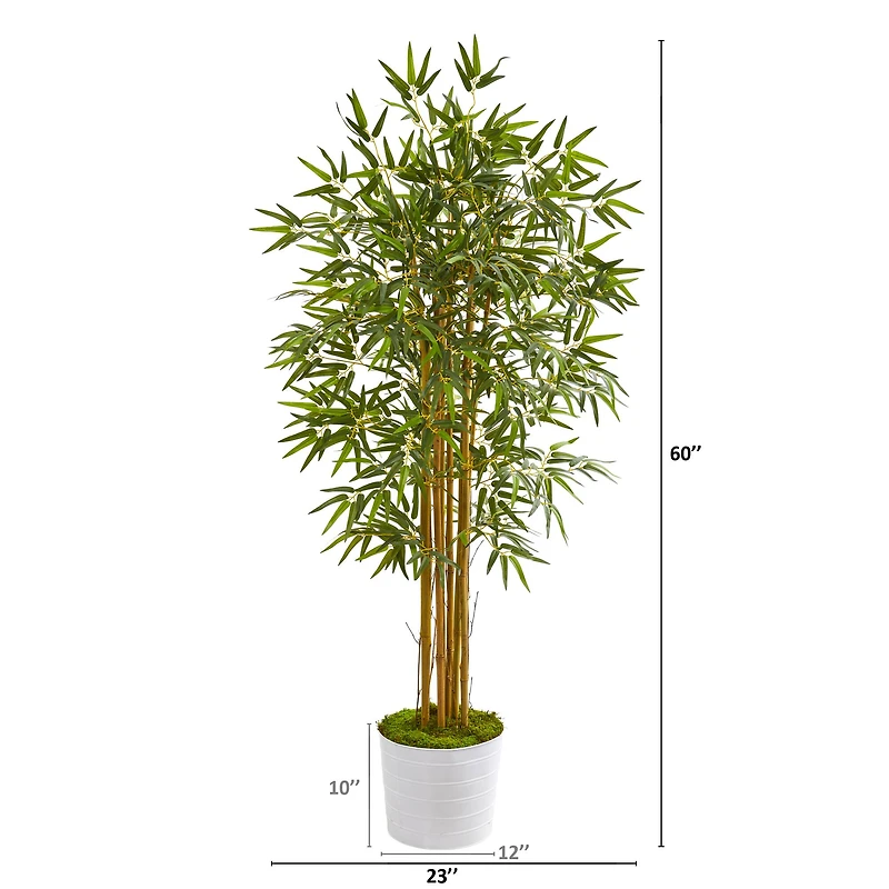 5ft. Bamboo Tree in White Tin Planter