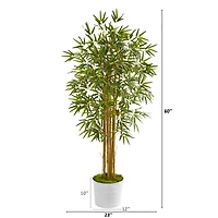5ft. Bamboo Tree in White Tin Planter