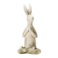 Hello Honey® Yoga Rabbit Set