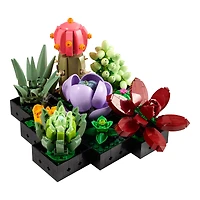 LEGO® Botanicals™ Succulents