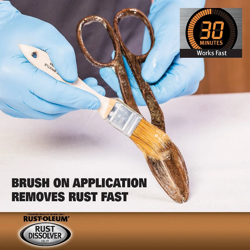 Rust-Oleum® Rust Dissolver Jelly