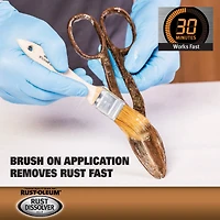 Rust-Oleum® Rust Dissolver Jelly