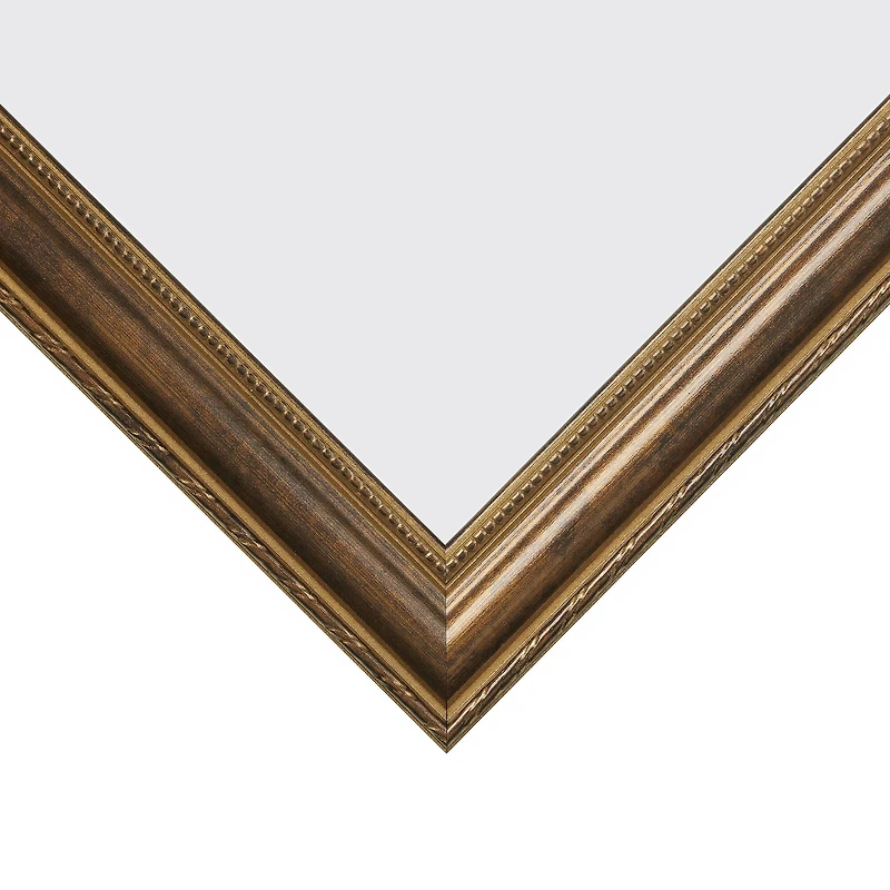 Craig Frames Victoria Bronze Picture Frame