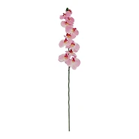 37" Pink Orchid Stem by Ashland®